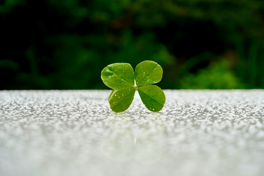 Photo luck