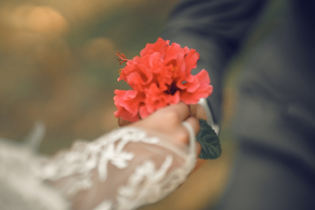 Photo love and relationships