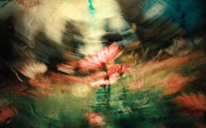 Photo dreams