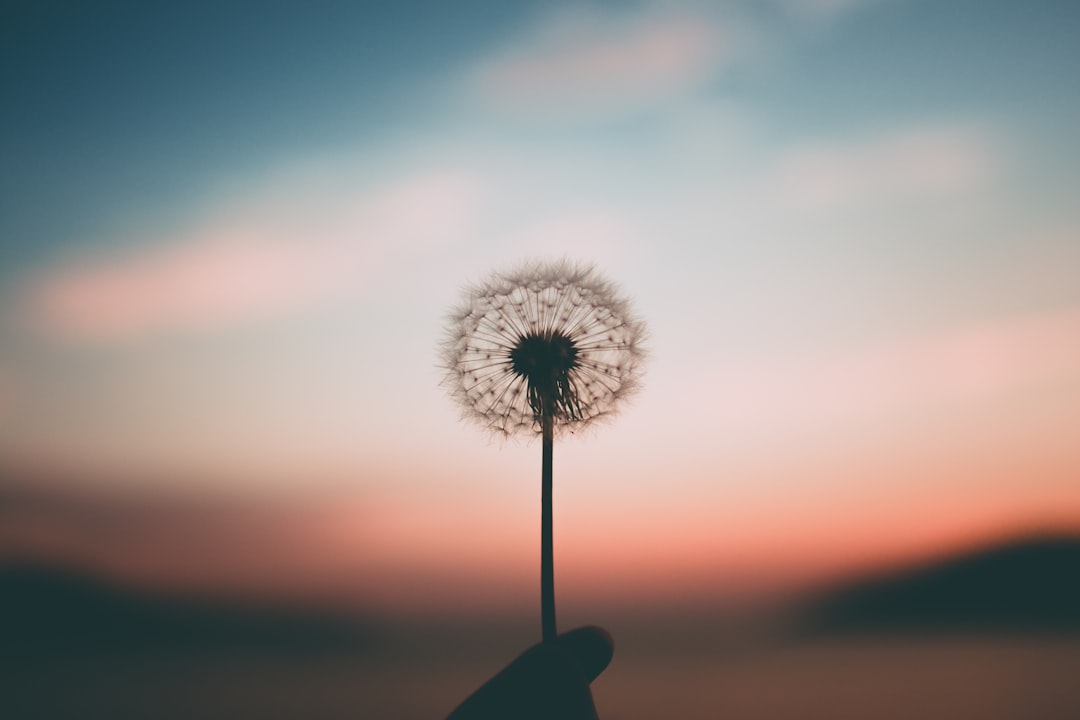 Photo inner peace