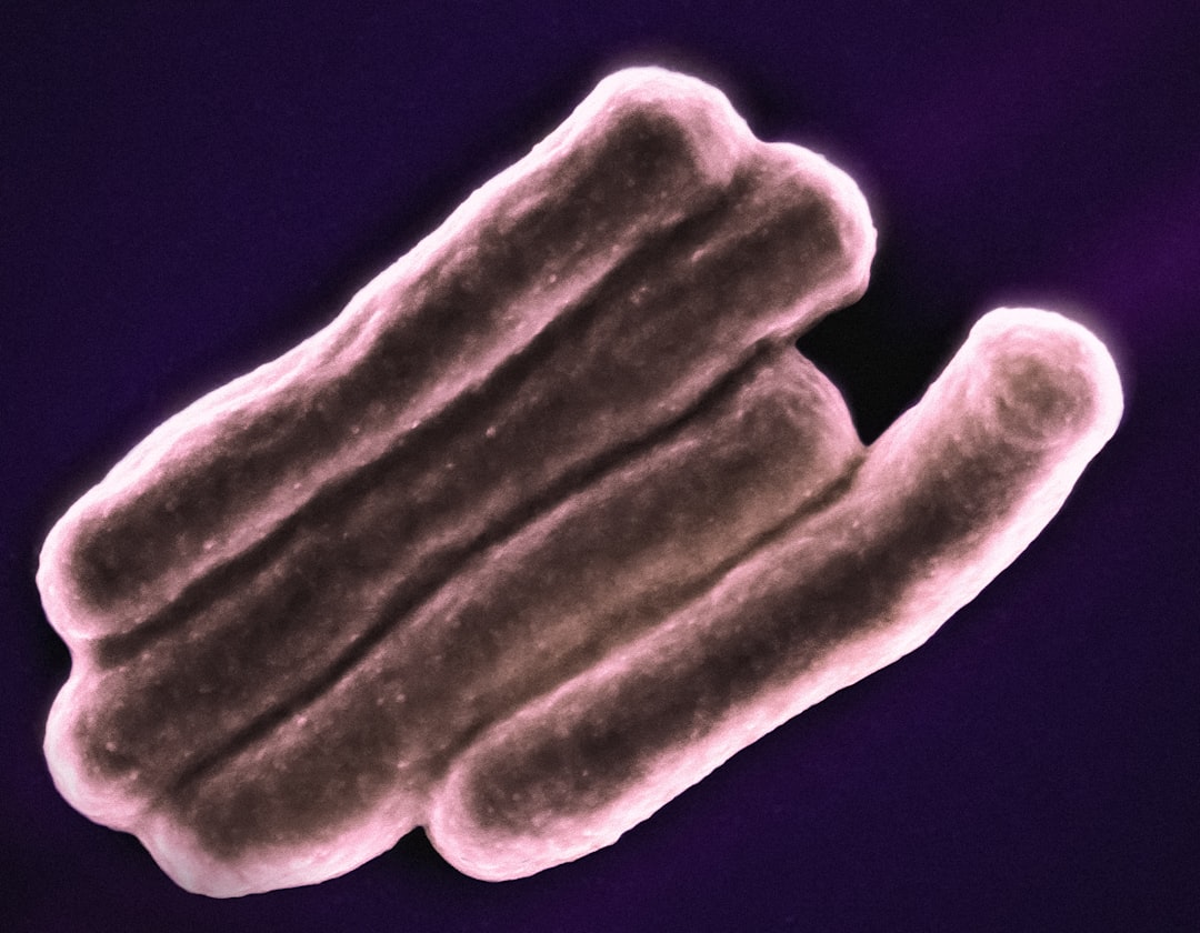 Photo microbiome