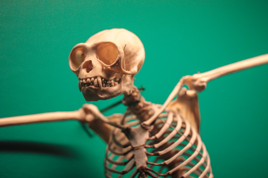 Photo strong bones