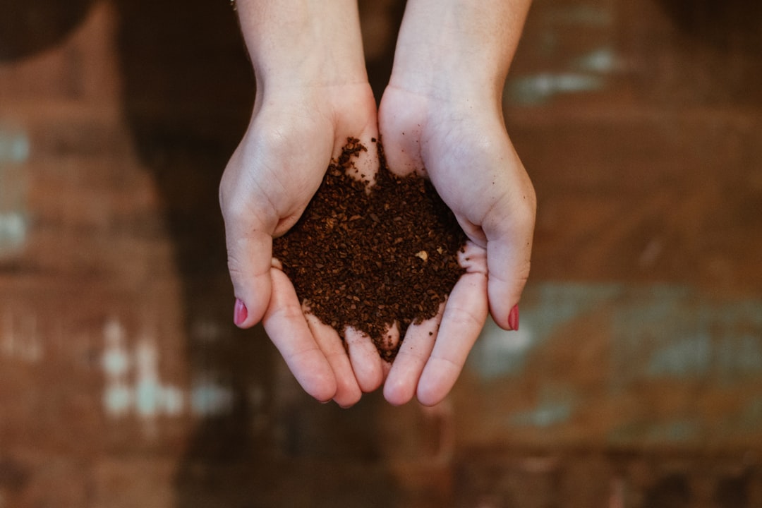 Photo compost