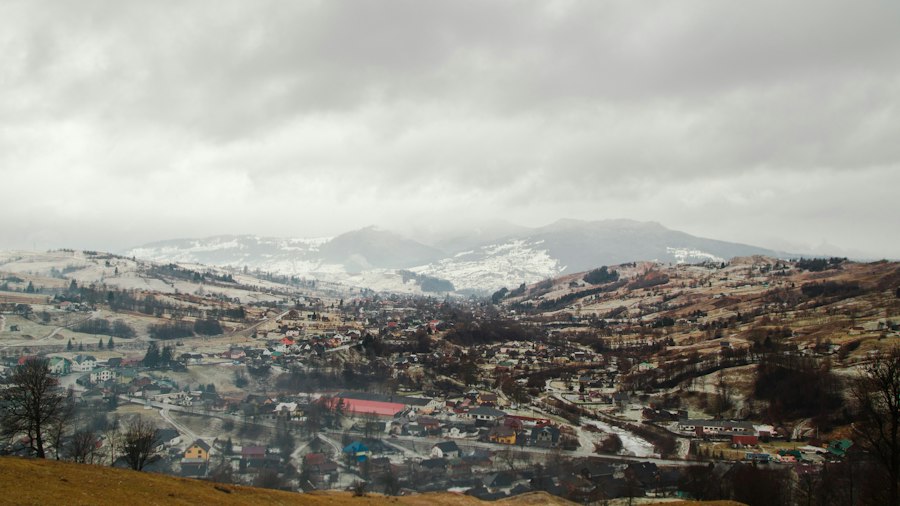 analiză de fond